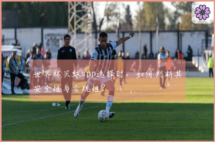 世界杯买球app选择时，如何判断其安全性与合规性？