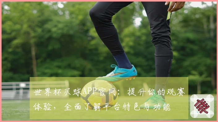 世界杯买球APP官网：提升你的观赛体验，全面了解平台特色与功能