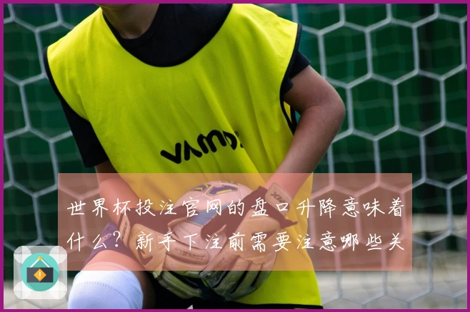 世界杯投注官网的盘口升降意味着什么？新手下注前需要注意哪些关键点？