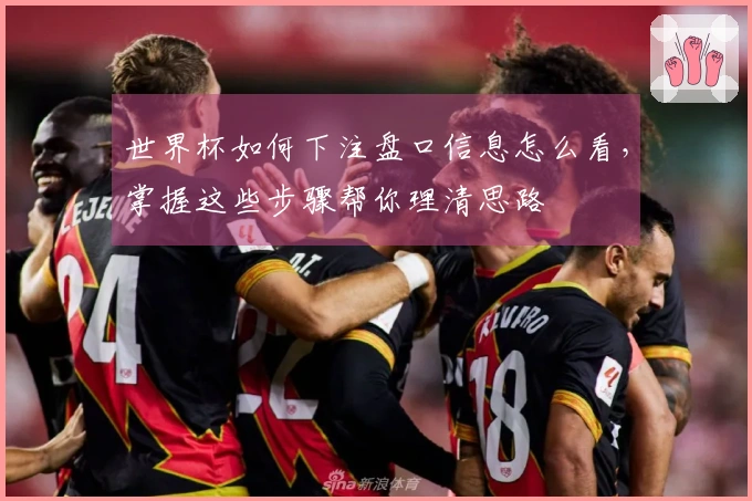世界杯如何下注盘口信息怎么看，掌握这些步骤帮你理清思路
