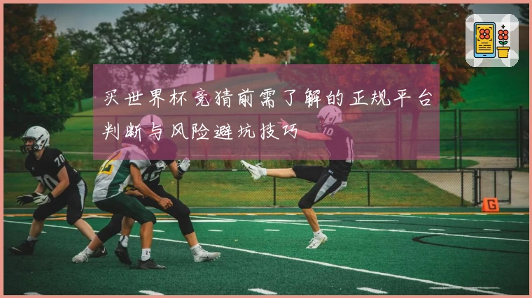 买世界杯竞猜前需了解的正规平台判断与风险避坑技巧