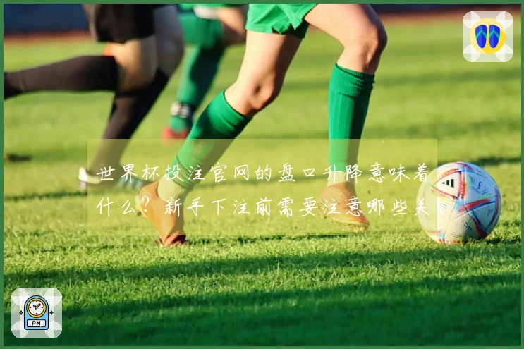 世界杯投注官网的盘口升降意味着什么？新手下注前需要注意哪些关键点？