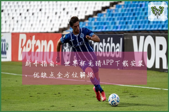 新手指南：世界杯竞猜APP下载安装，优缺点全方位解读