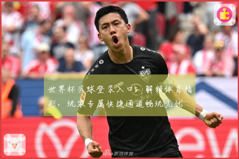世界杯买球登录入口:解锁体育精彩,玩家专属快捷通道畅玩无忧