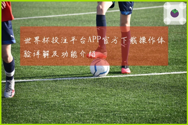 世界杯投注平台APP官方下载操作体验详解及功能介绍
