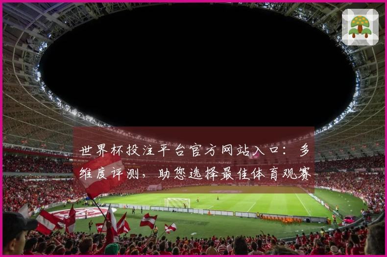 世界杯投注平台官方网站入口：多维度评测，助您选择最佳体育观赛入口