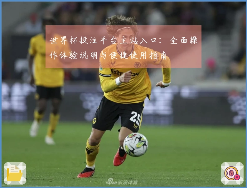 世界杯投注平台主站入口：全面操作体验说明与便捷使用指南