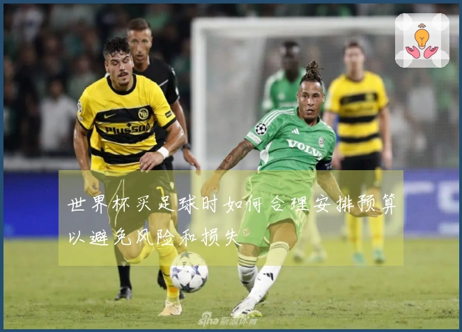 世界杯买足球时如何合理安排预算以避免风险和损失