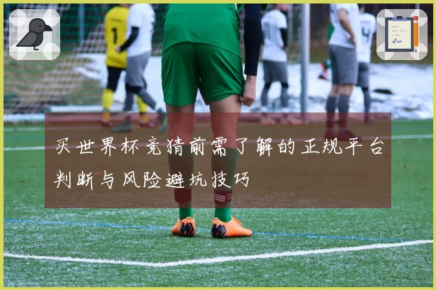 买世界杯竞猜前需了解的正规平台判断与风险避坑技巧