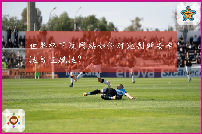 世界杯下注网站如何对比判断安全性与正规性？