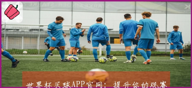 世界杯买球APP官网：提升你的观赛体验，全面了解平台特色与功能