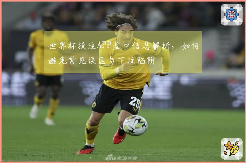 世界杯投注APP盘口信息解析，如何避免常见误区与下注陷阱
