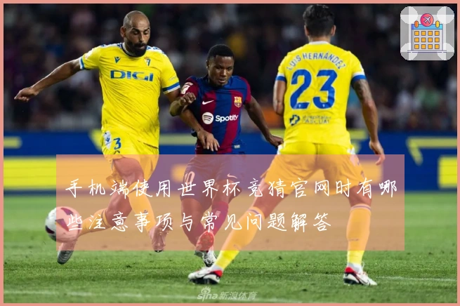手机端使用世界杯竞猜官网时有哪些注意事项与常见问题解答