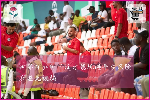 世界杯如何下注才能规避平台风险和避免被骗